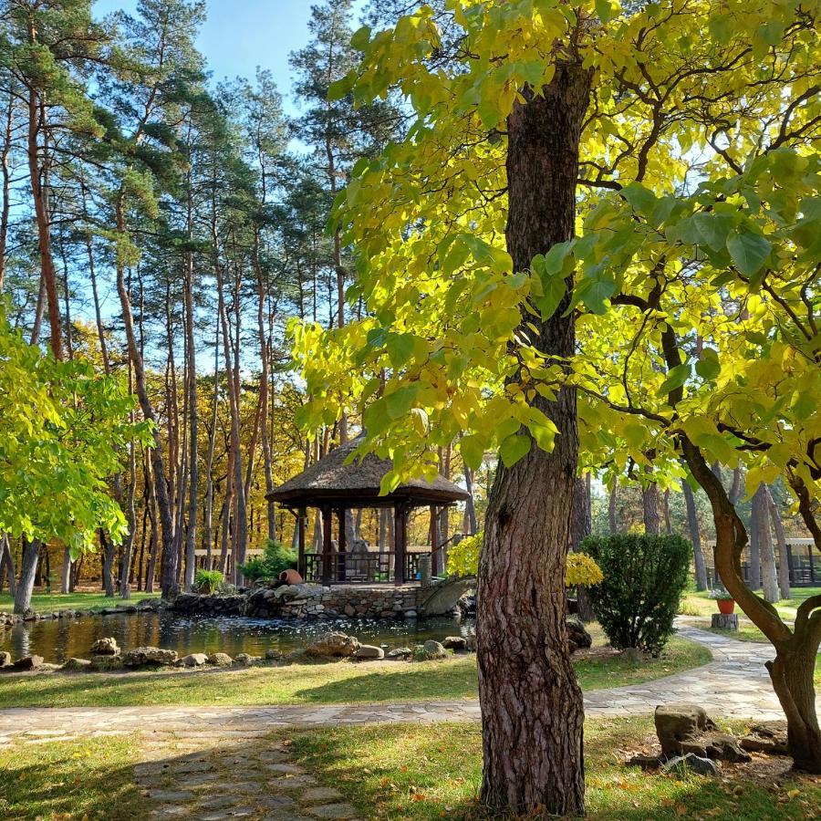 Kohavi Forest Club Orlovshchina Exterior photo